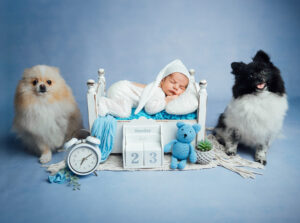 baby shooting mit hund 3564